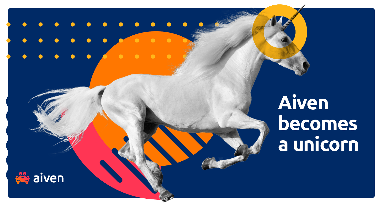 Raising a unicorn worth $2 billion - another letter from our CEO illustration