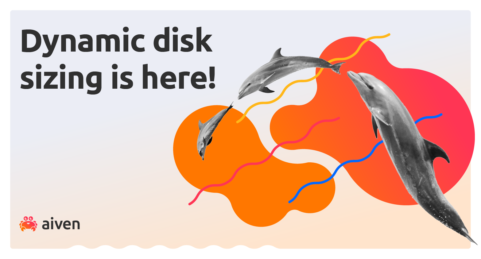 Announcing Dynamic Disk Sizing illustration