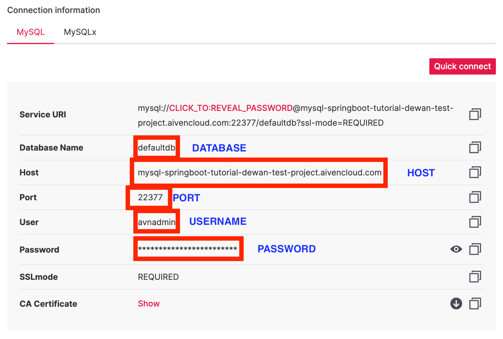 Create a Spring Boot application with a MySQL backend