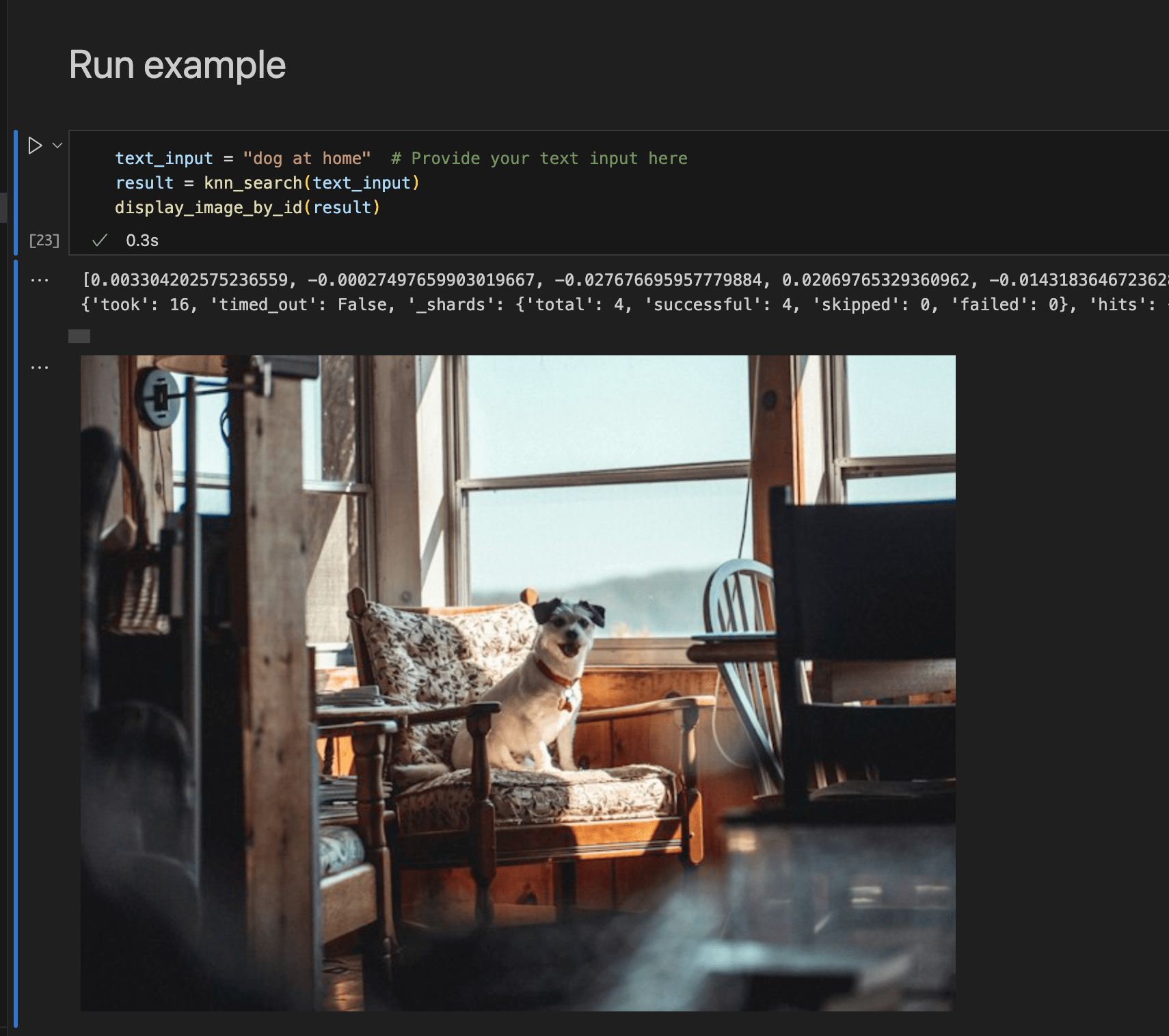 Running an example with a phrase dog at home