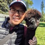 Senior Solution Architect