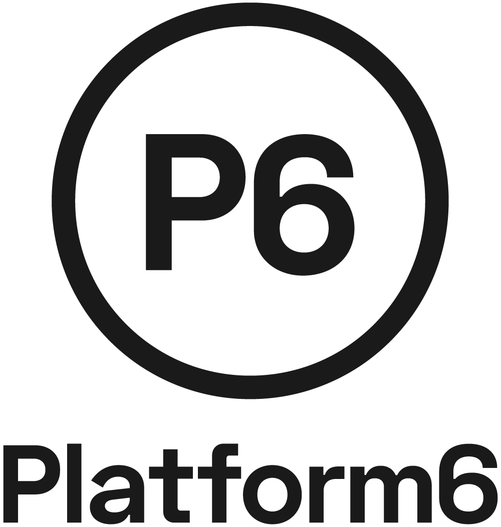 Platform6 logo