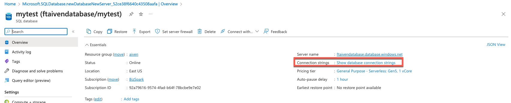 Database connection string