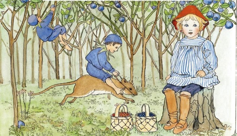 Illustrasjon med Putte i blåbærskogen og en blåbærgutt ridende på en mus