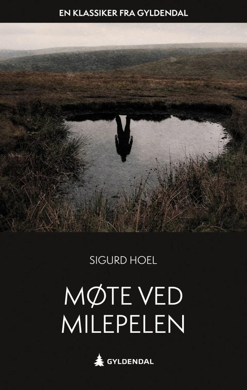 Omslaget til Møte ved milepelen
