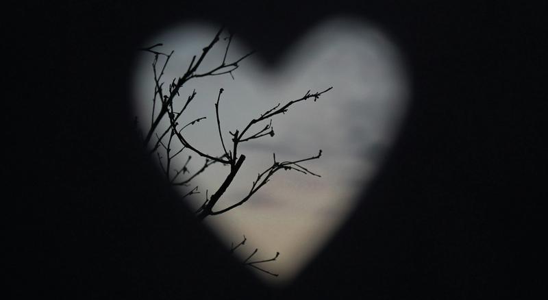 Et avriss av et hjerte mot natur.