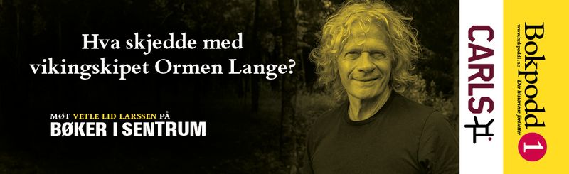 Bildeplakat med Vetle og teksten Hva skjedde med vikingskipet Ormen Lange