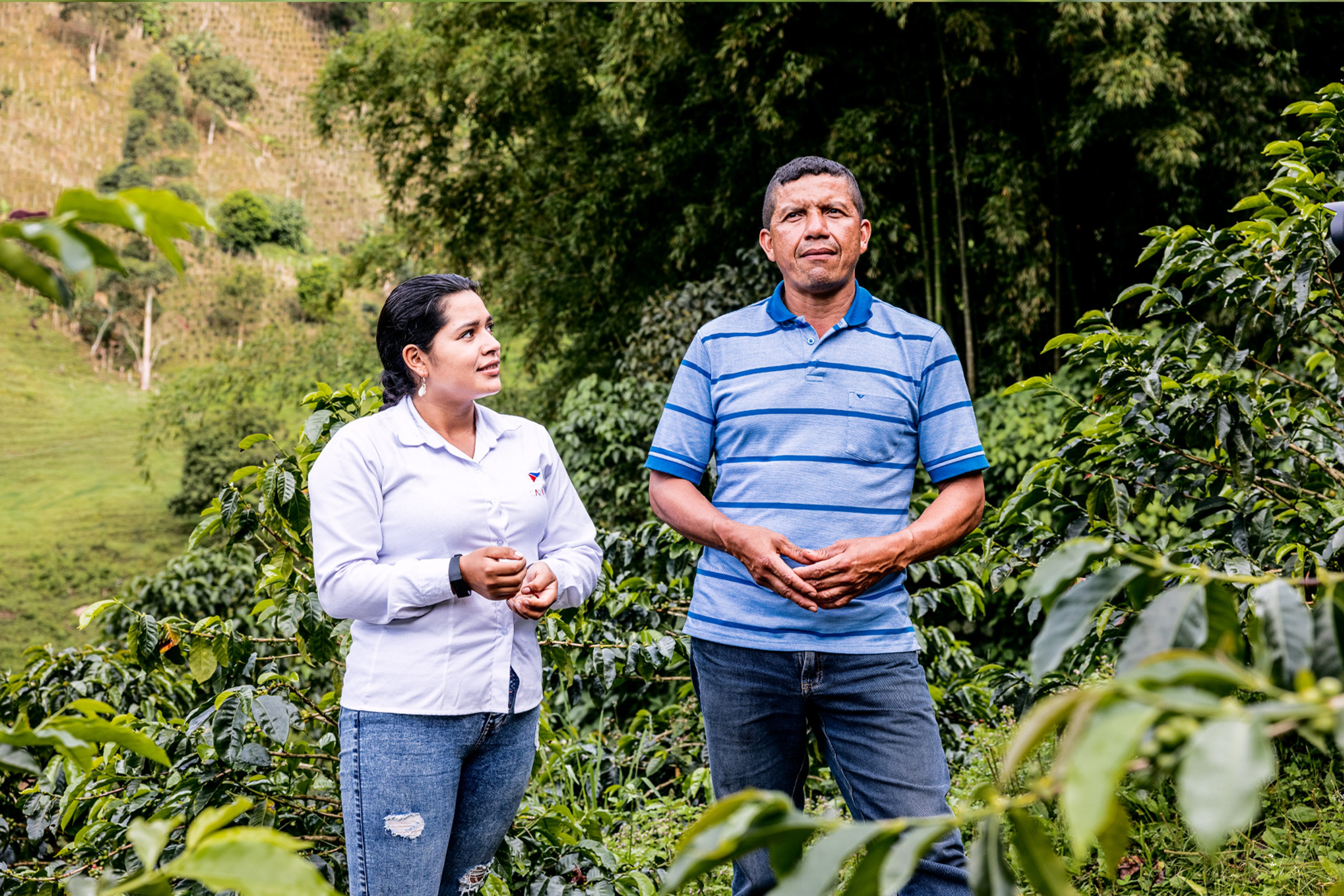 Coffee farmers