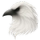 Білий Ворон