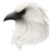 Білий Ворон