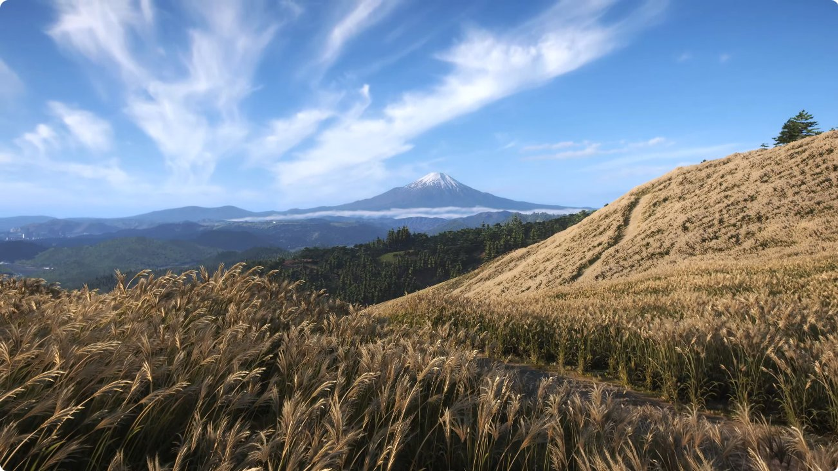 Forza Horizon 6 Horizon Festival