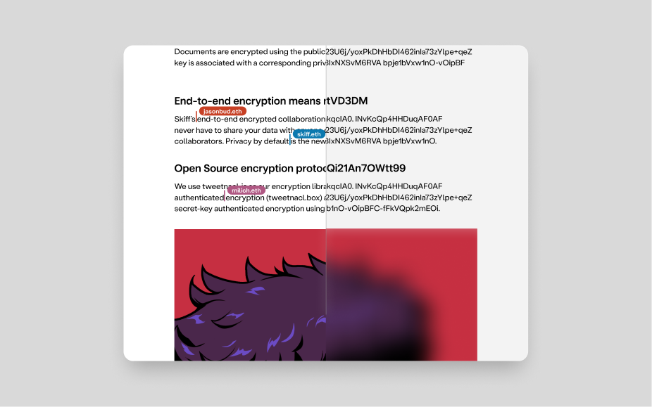 Document with right half blurred and encrypted text.