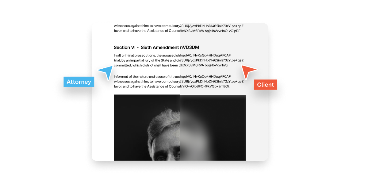Document with two cursors blurred on the right half.