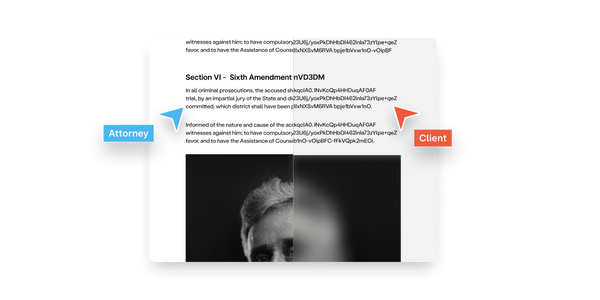 Document with two cursors blurred on the right half.