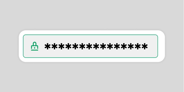 Password entry input field.