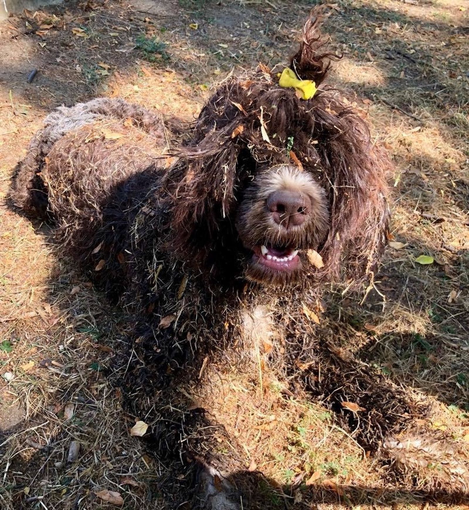 Fotografie Sára - obrázek 2