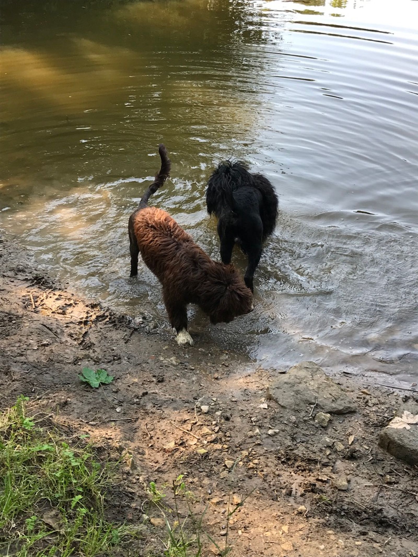 Fotografie Sára - obrázek 6