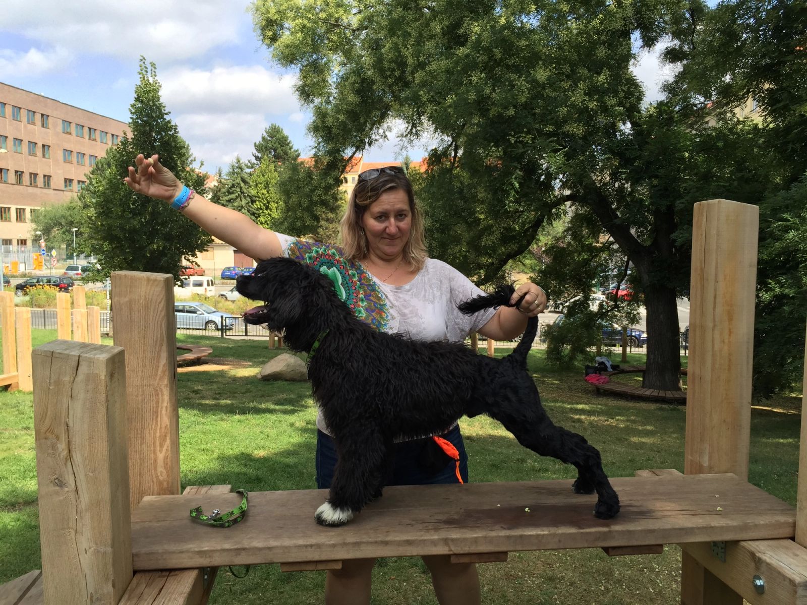 Fotografie Blondi - obrázek 5