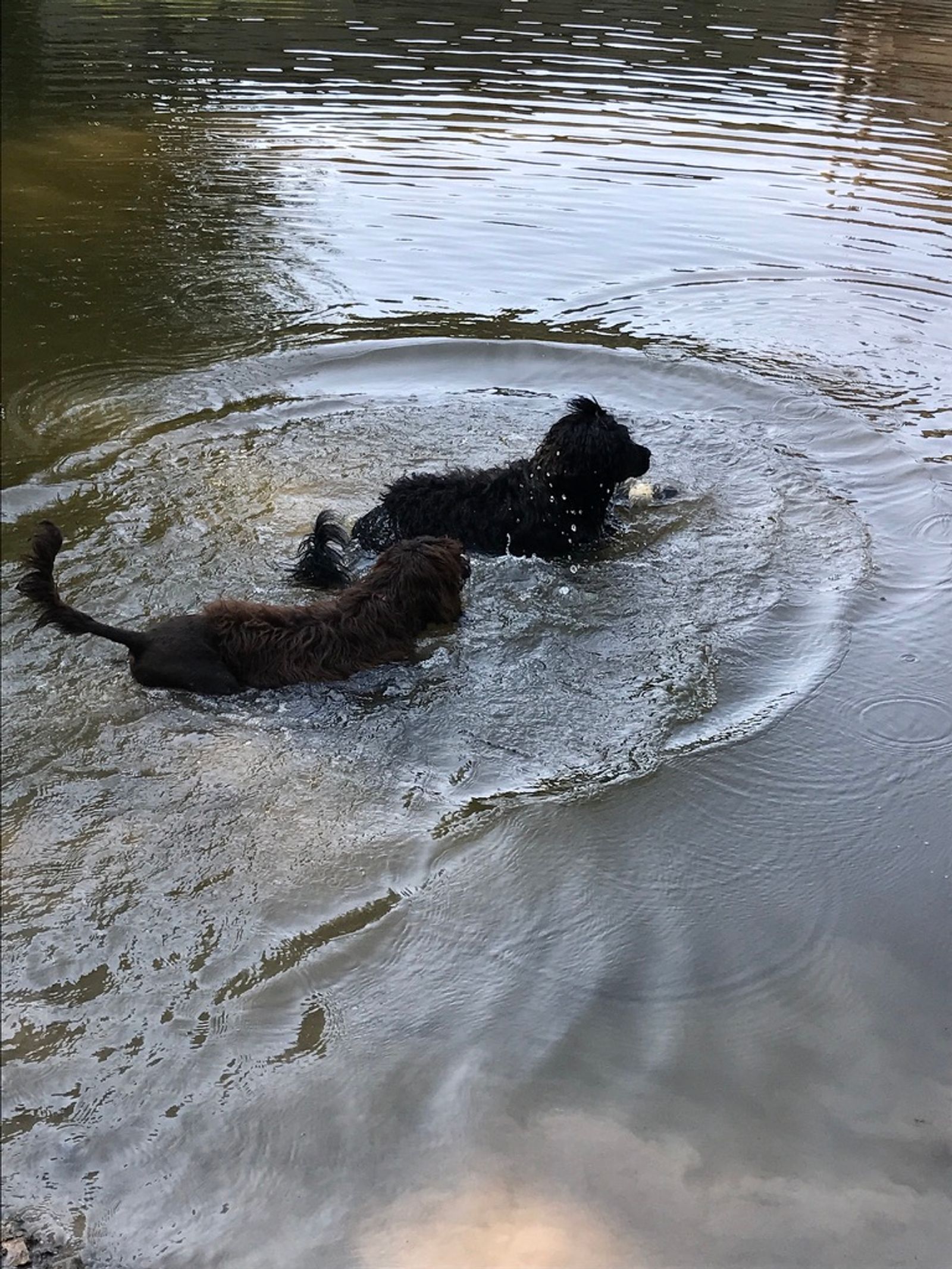 Fotografie Sára - obrázek 5