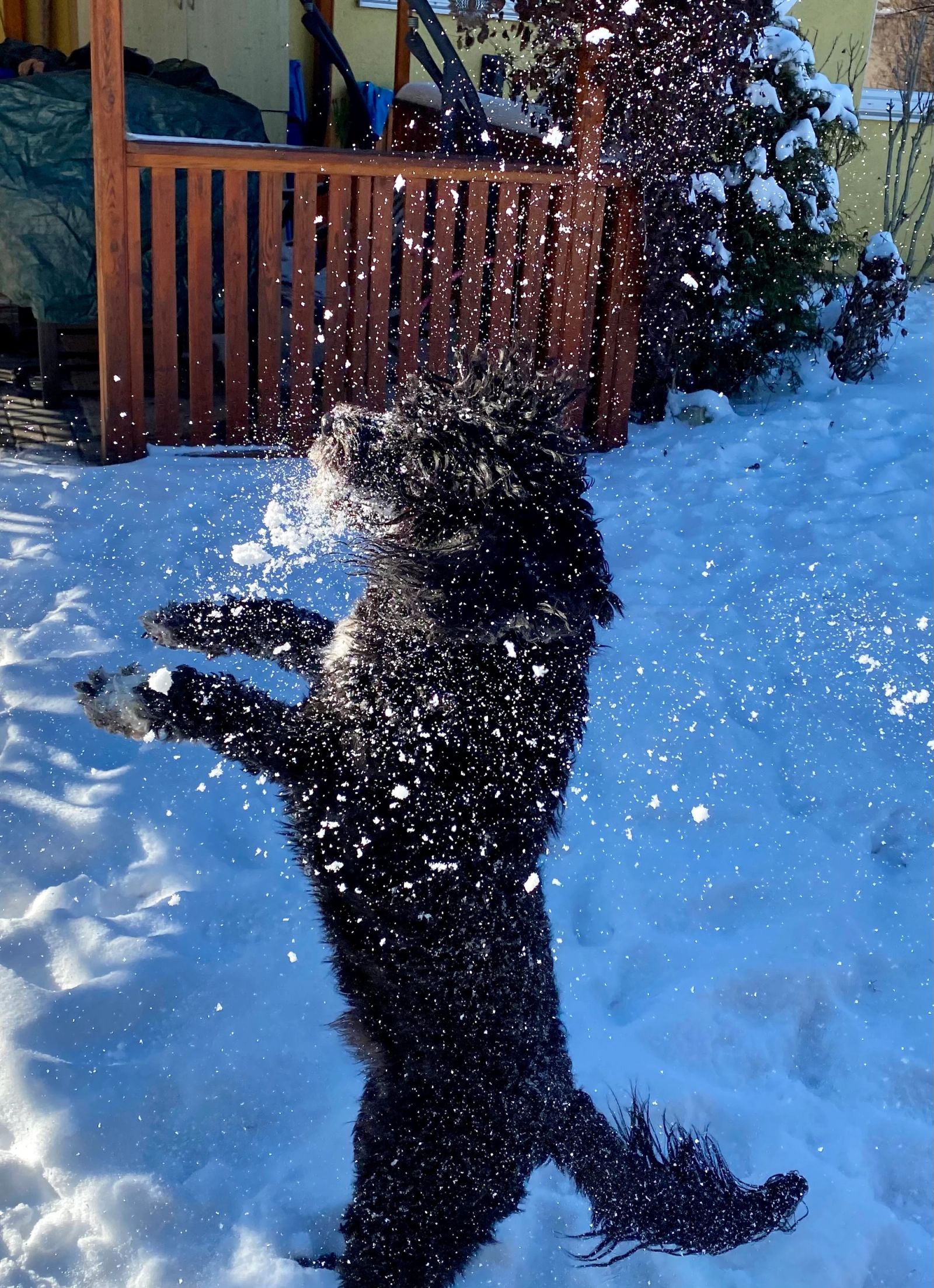 Fotografie Blondi - obrázek 11