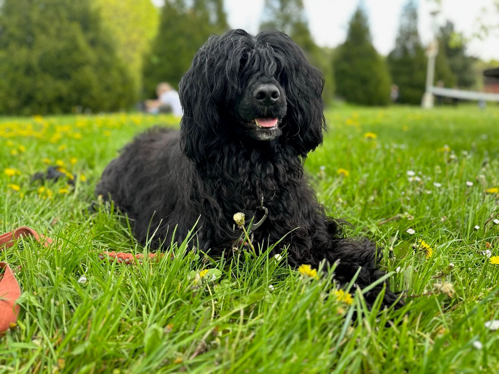 Fotografie Izi - obrázek 12