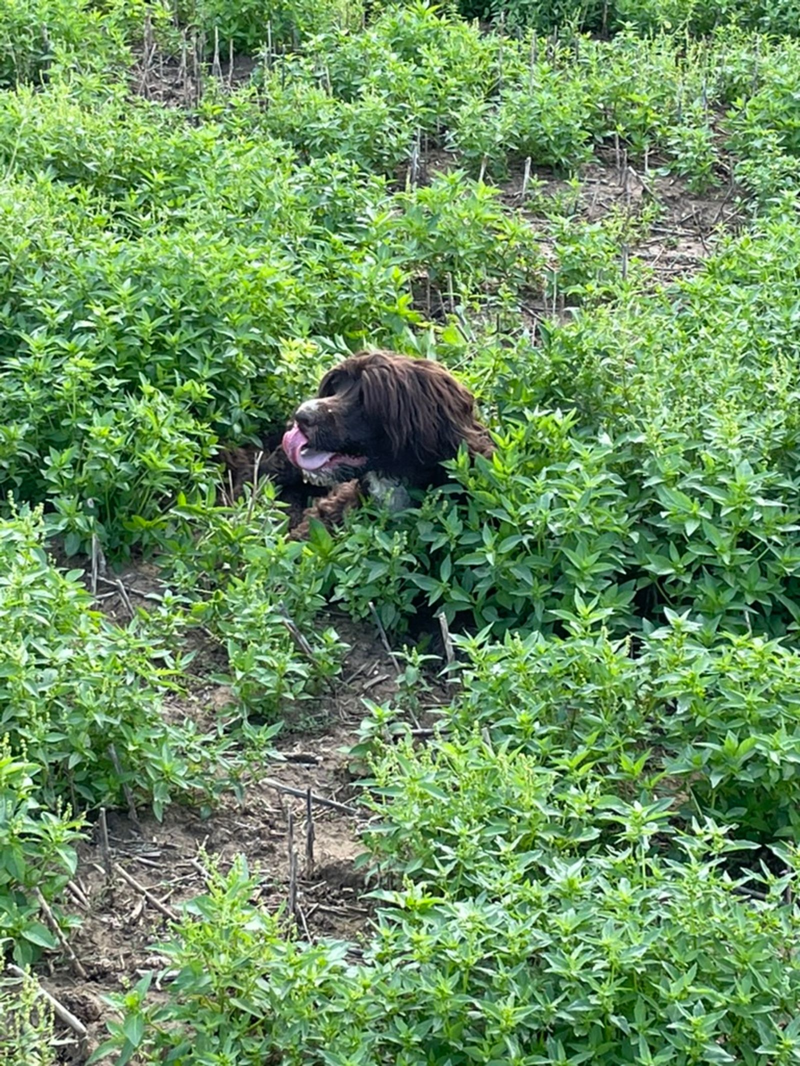 Fotografie Sára - obrázek 20