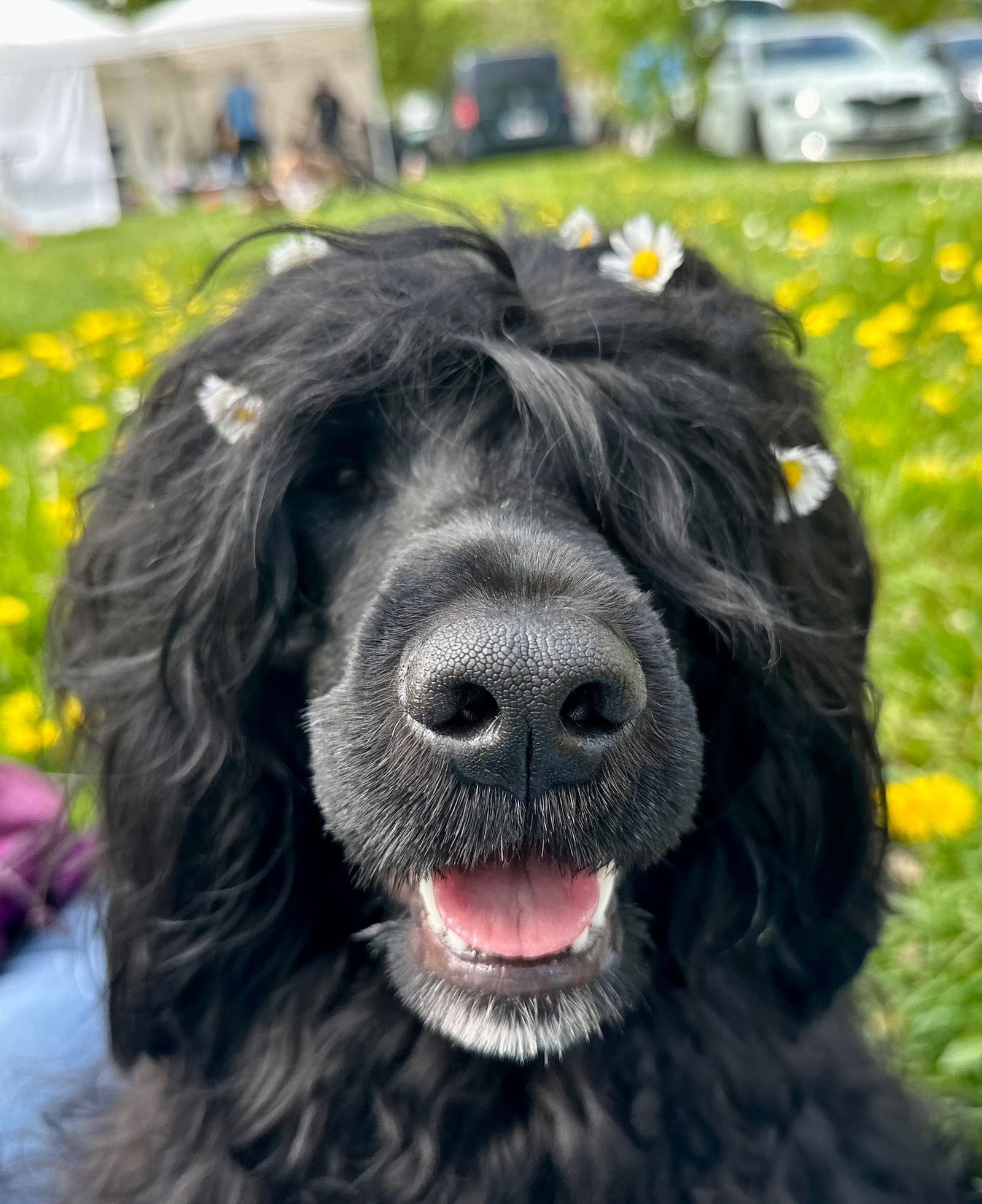 Fotografie Izi - obrázek 11