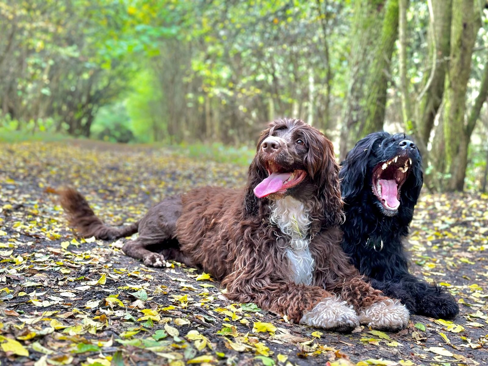 Fotografie Sára - obrázek 16