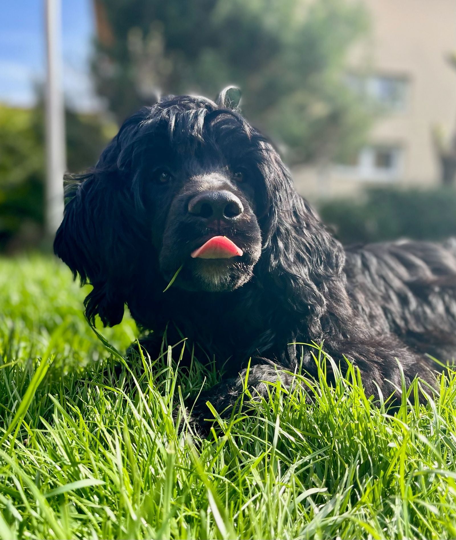 Fotografie Izi - obrázek 19