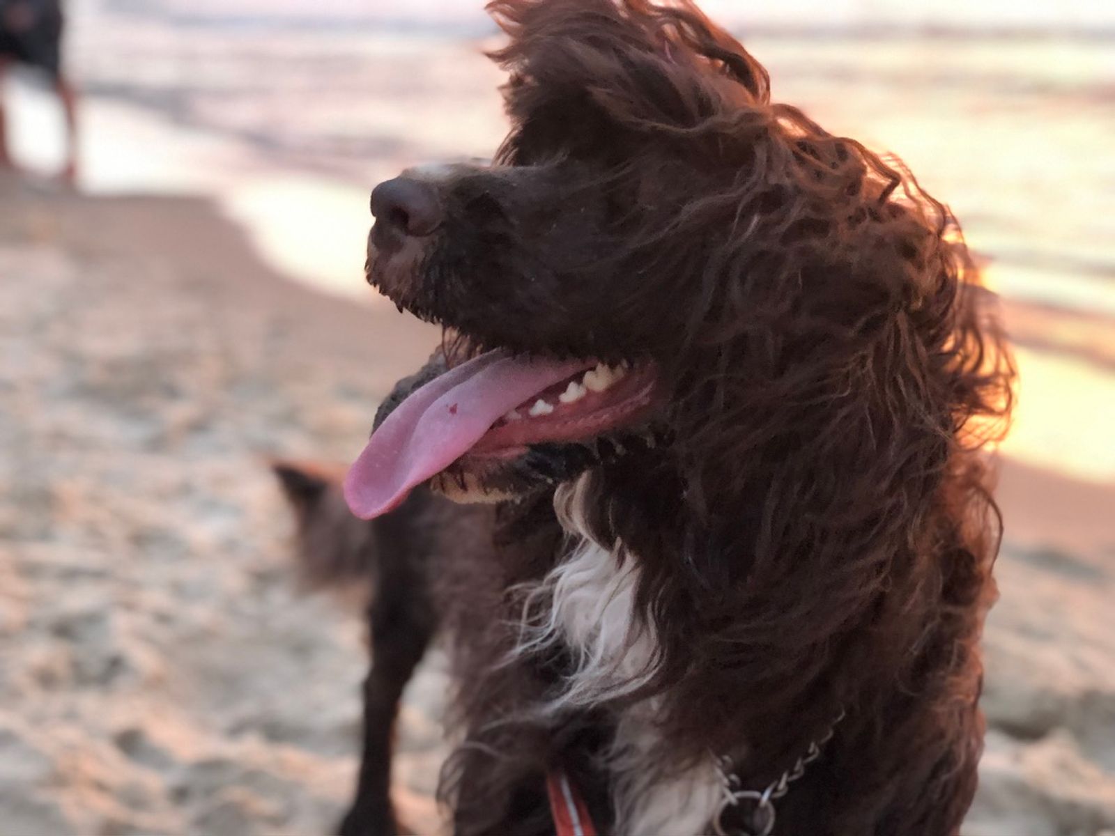 Fotografie Sára - obrázek 10