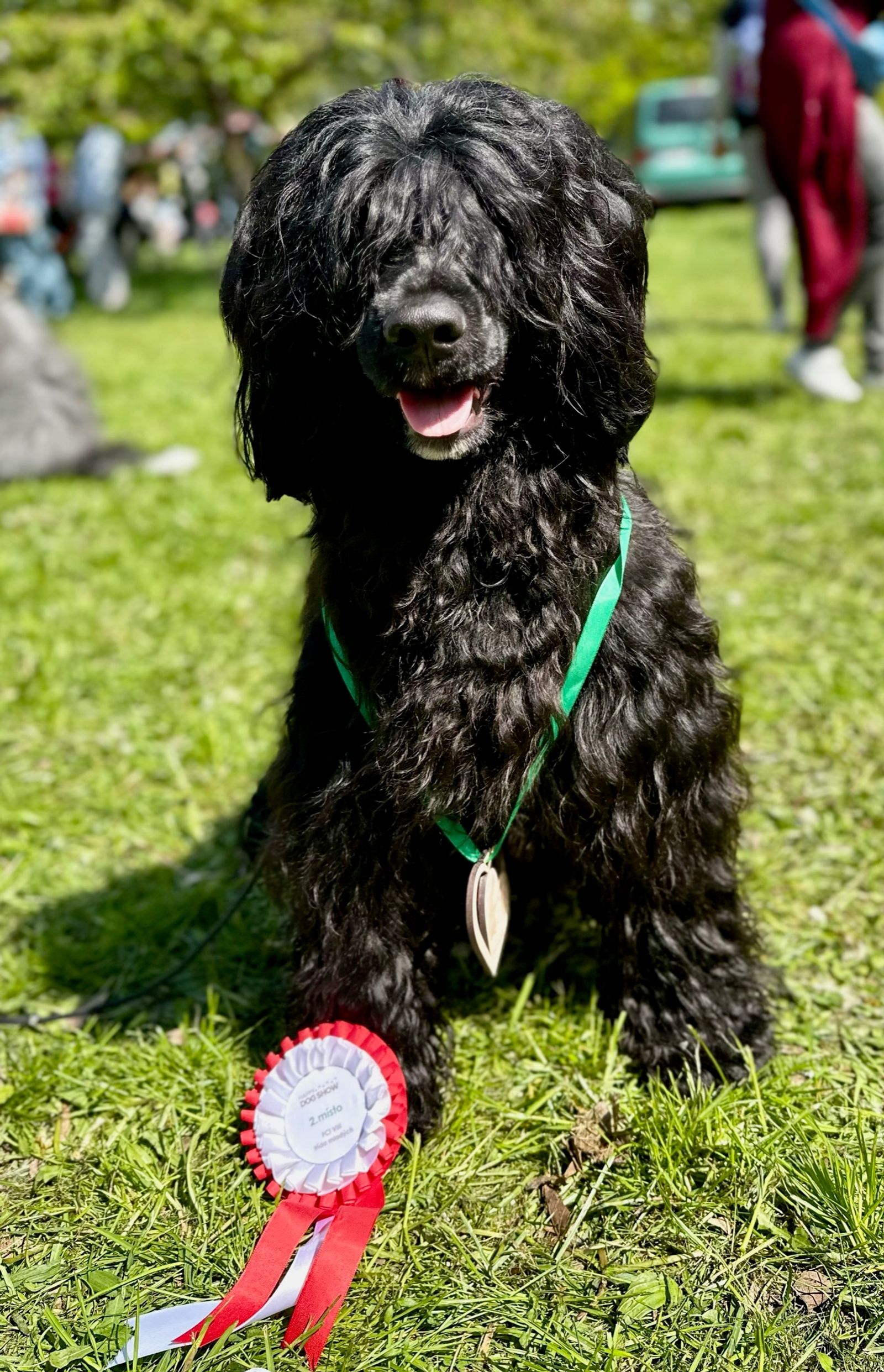 Fotografie Izi - obrázek 13
