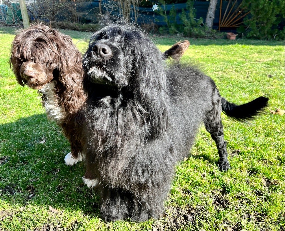 Izi se Sárou doma na zahradě