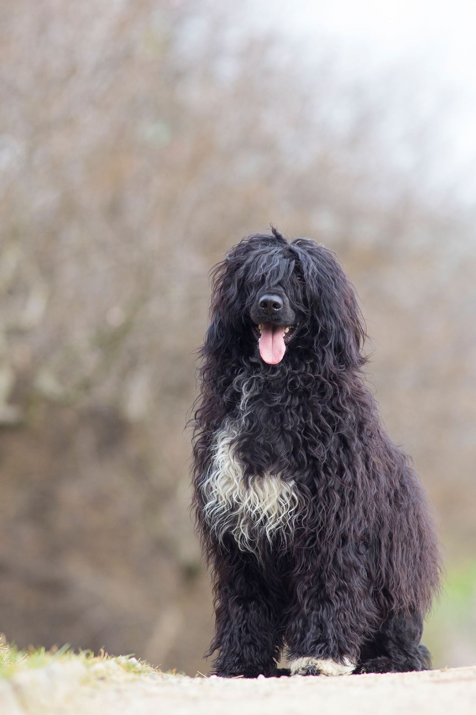 Fotografie Blondi - obrázek 17