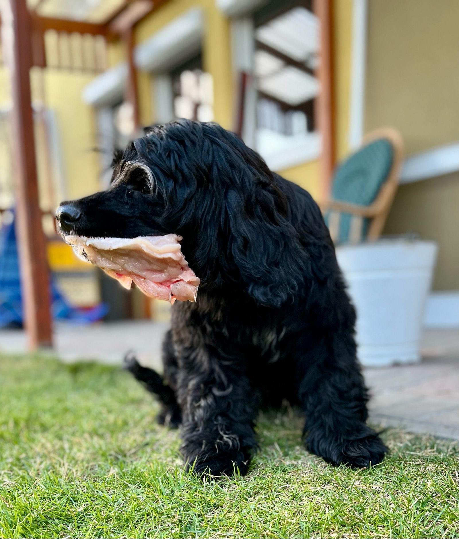 Fotografie Izi - obrázek 17