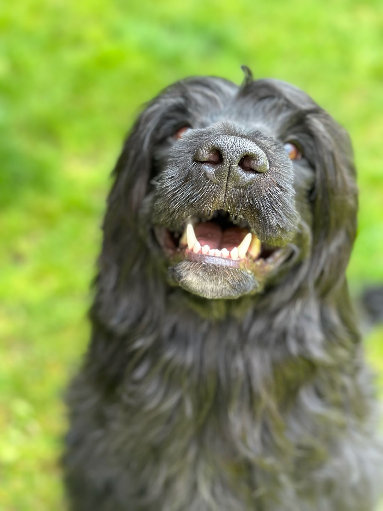 Fotografie Izi - obrázek 8