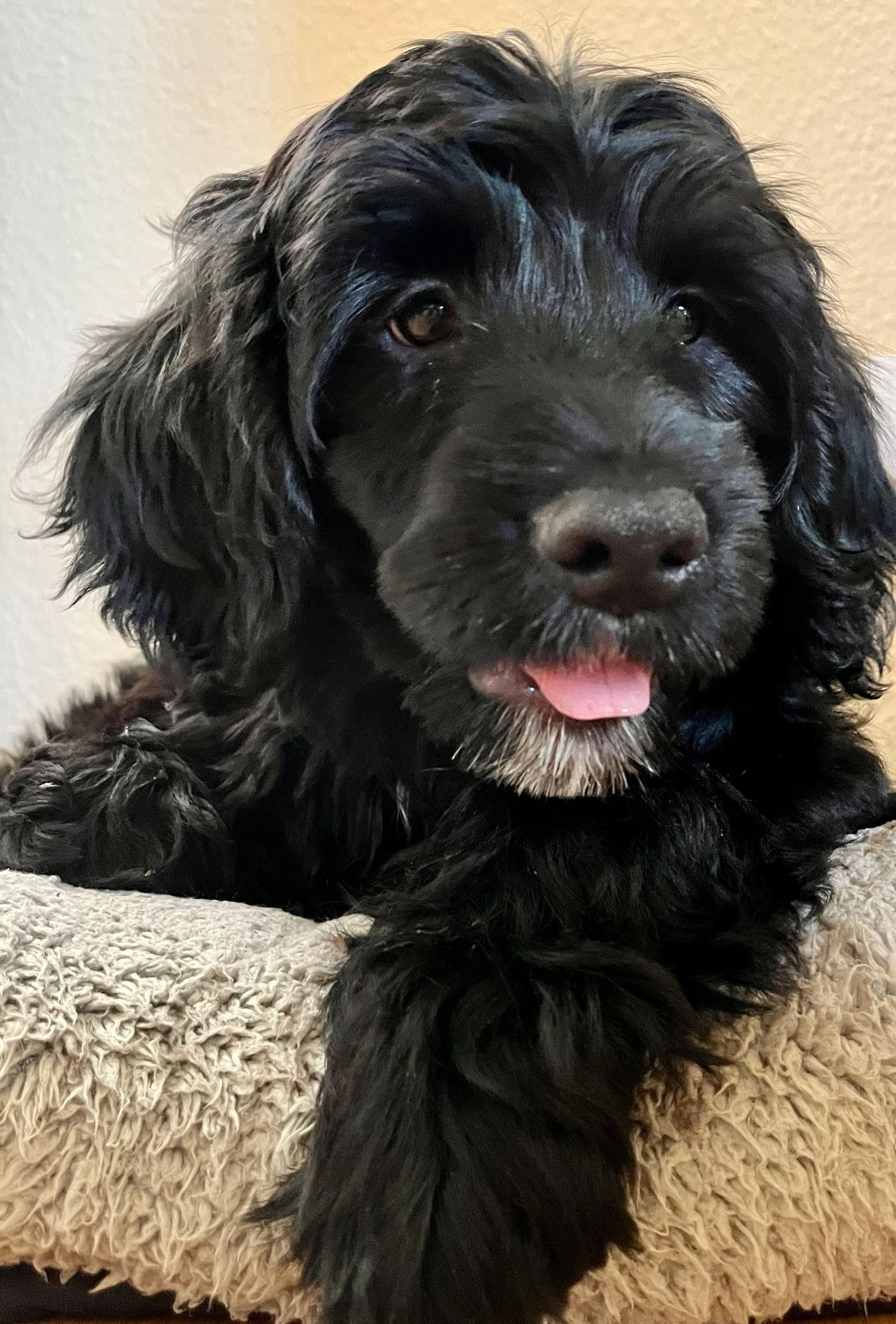 Fotografie Izi - obrázek 15