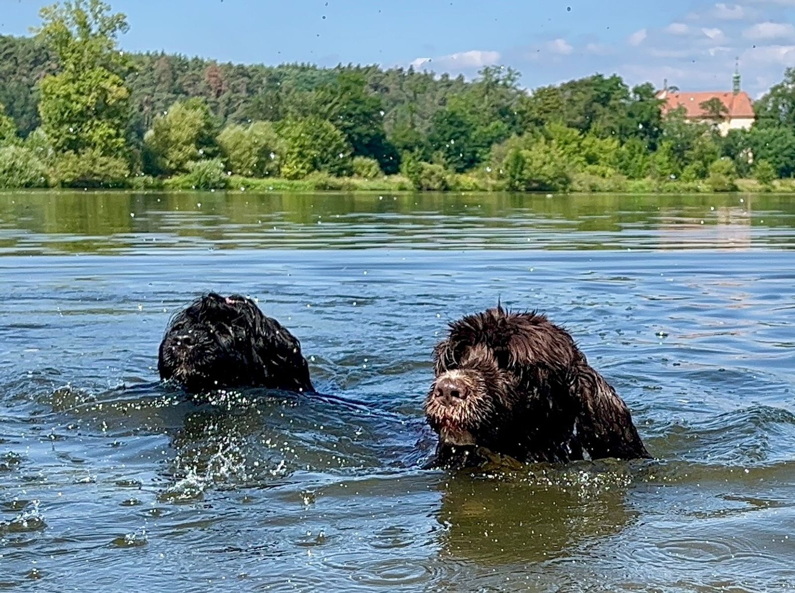 Fotografie Izi - obrázek 5