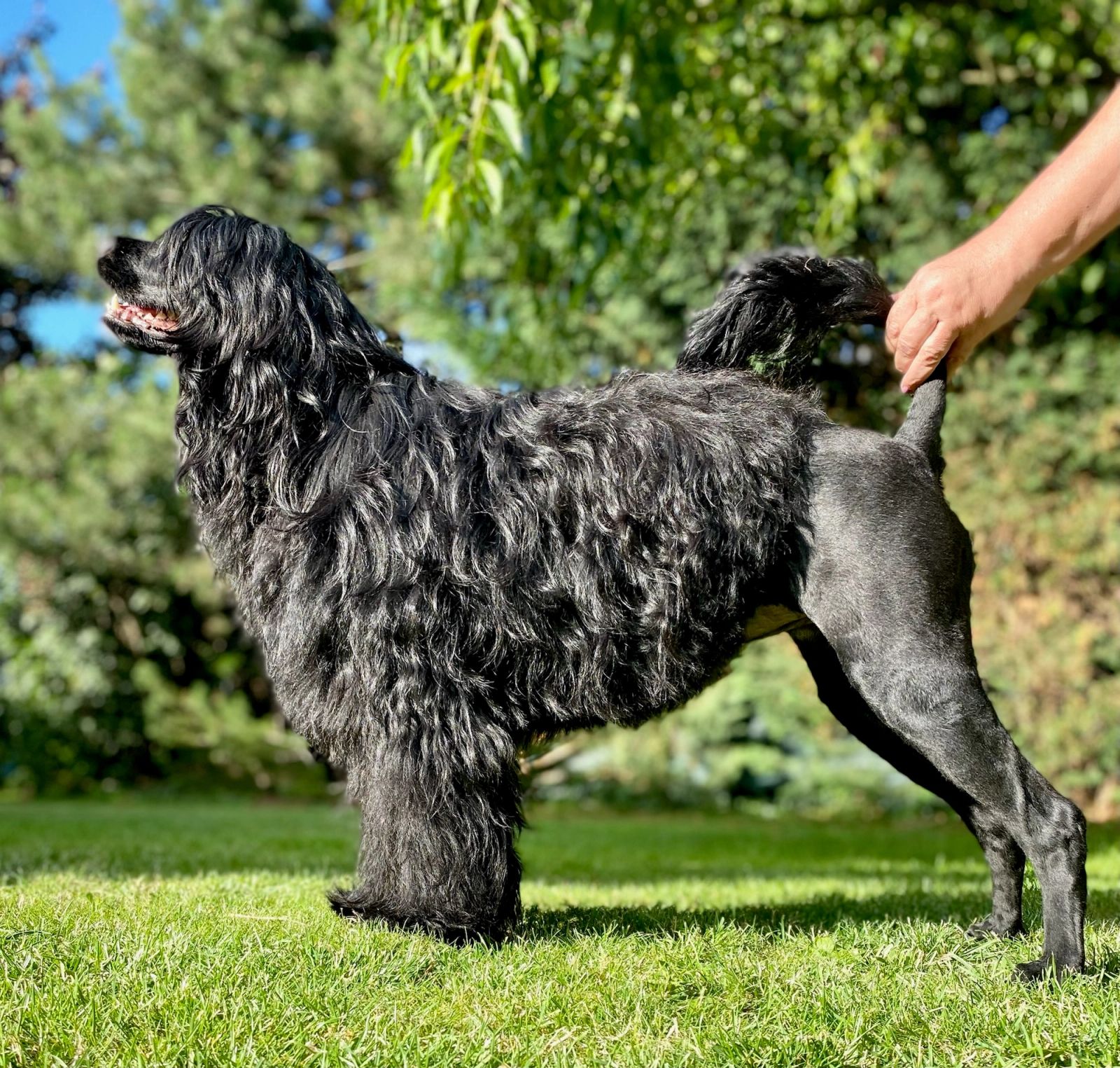 Fotografie Izi - obrázek 3