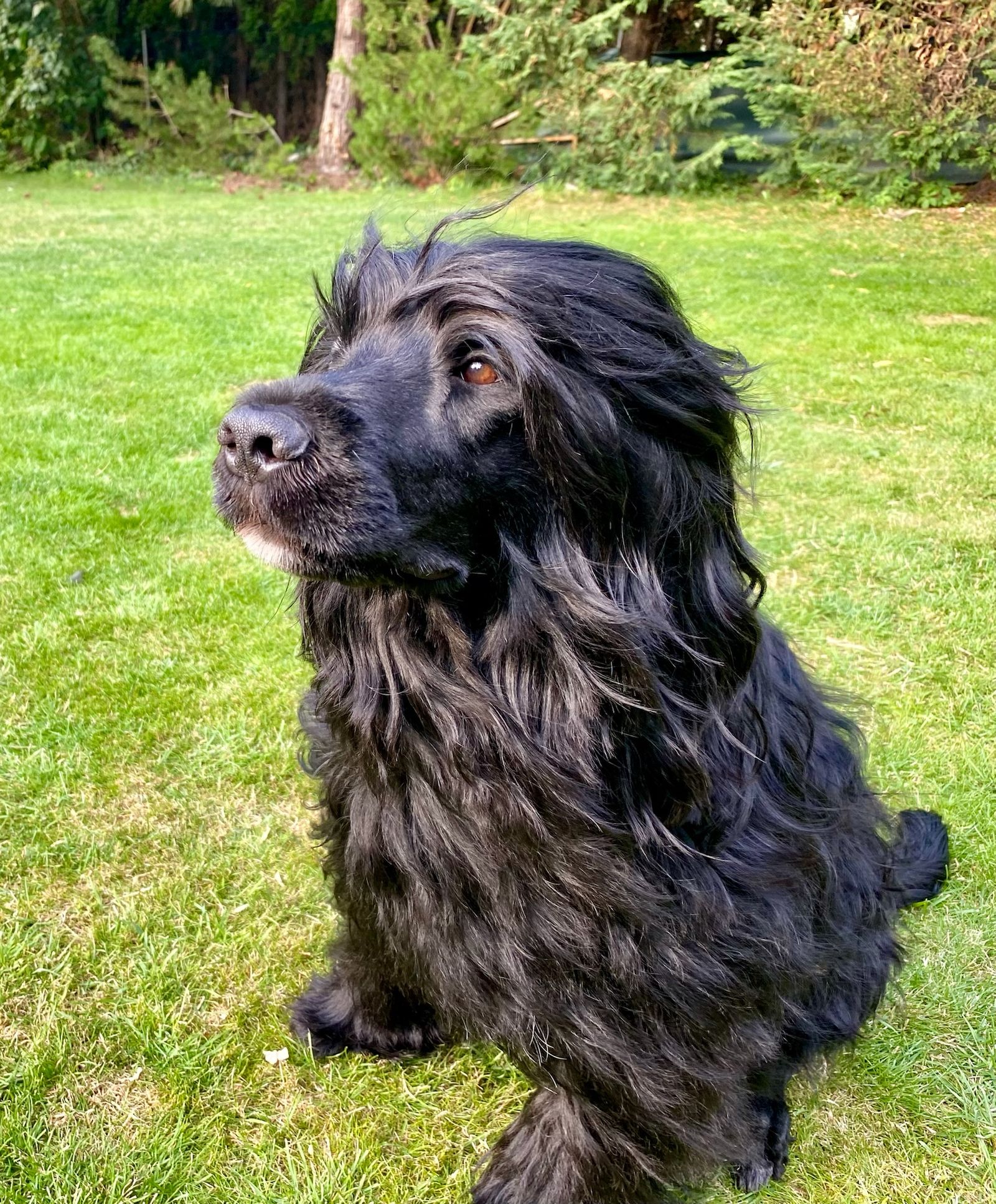 Fotografie Izi - obrázek 4