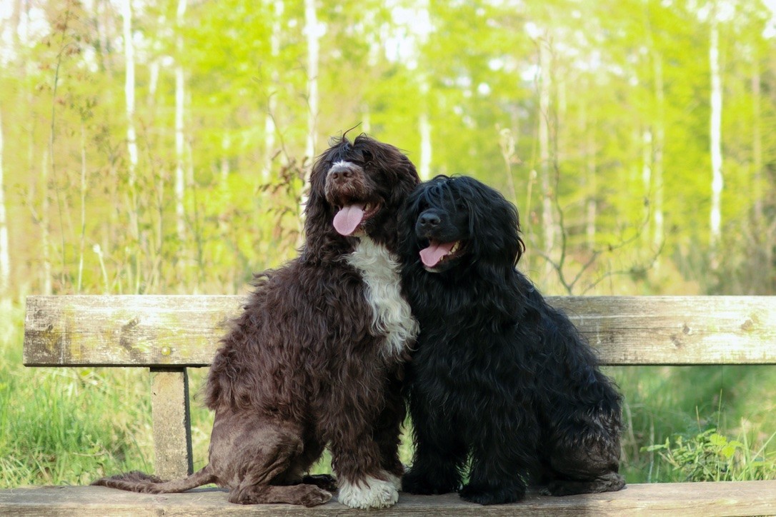 Izi se Sárou se mají rádi