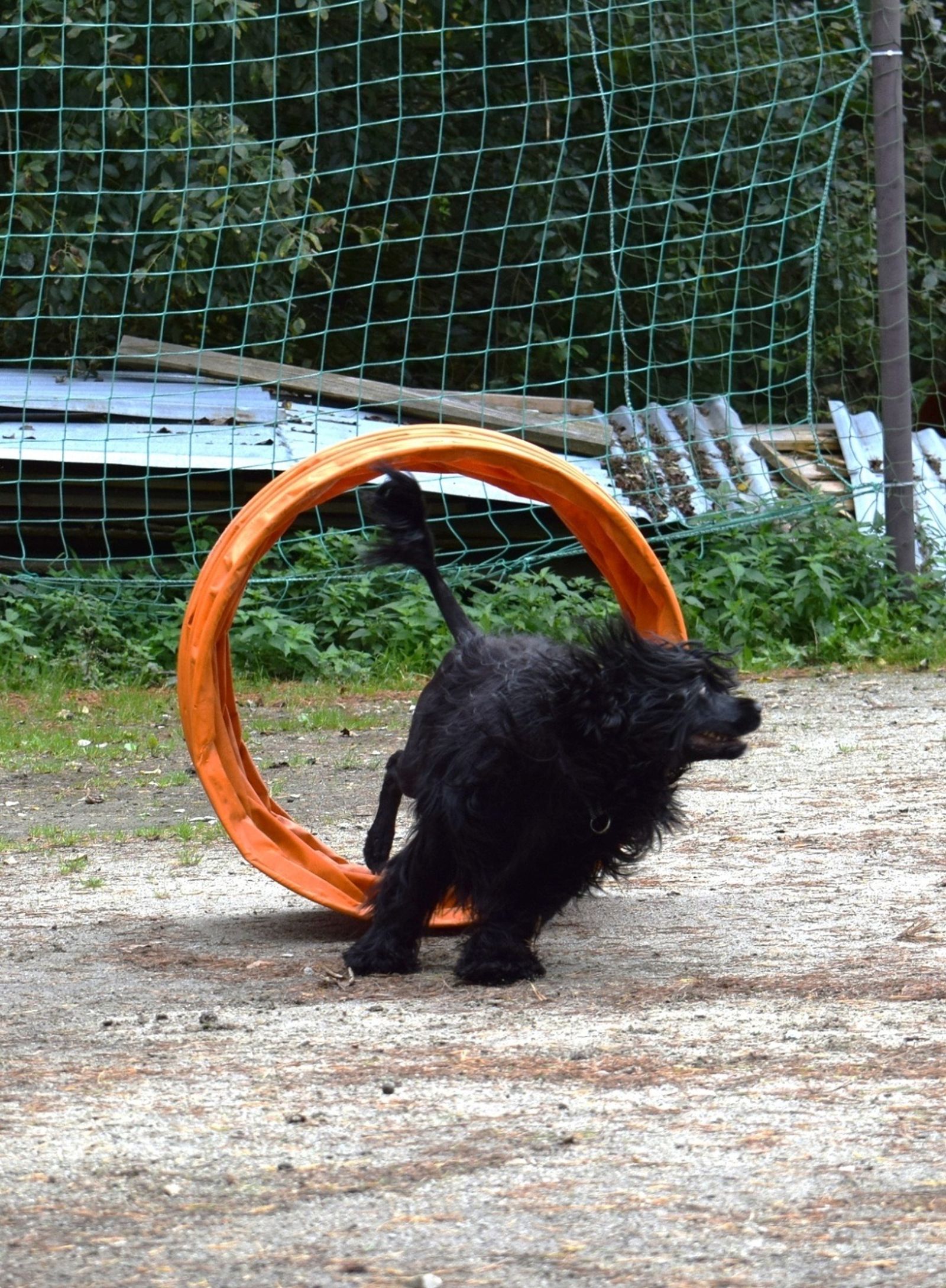 Fotografie Izi - obrázek 6