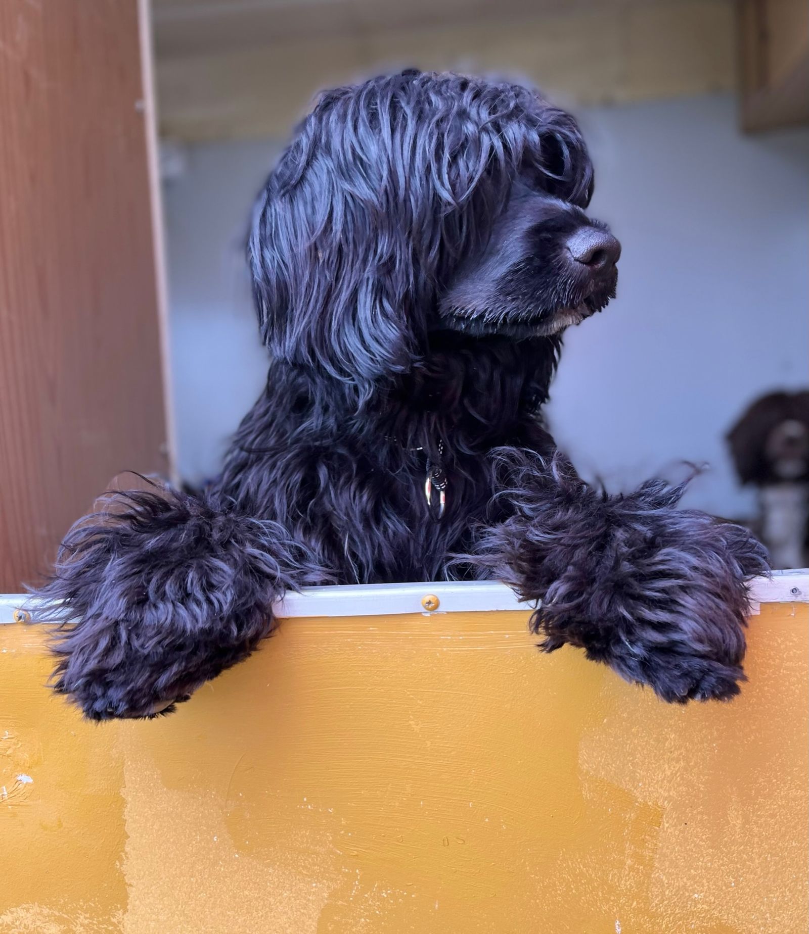 Fotografie Izi - obrázek 9