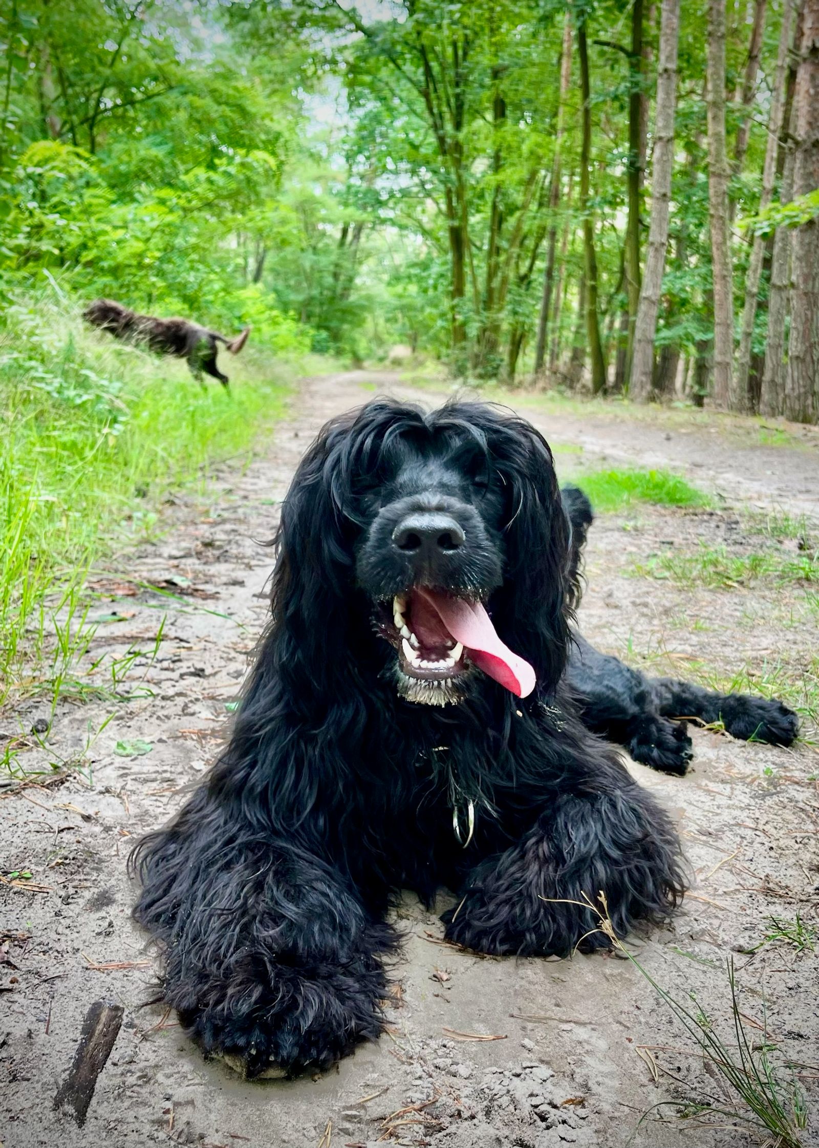 Fotografie Izi - obrázek 10