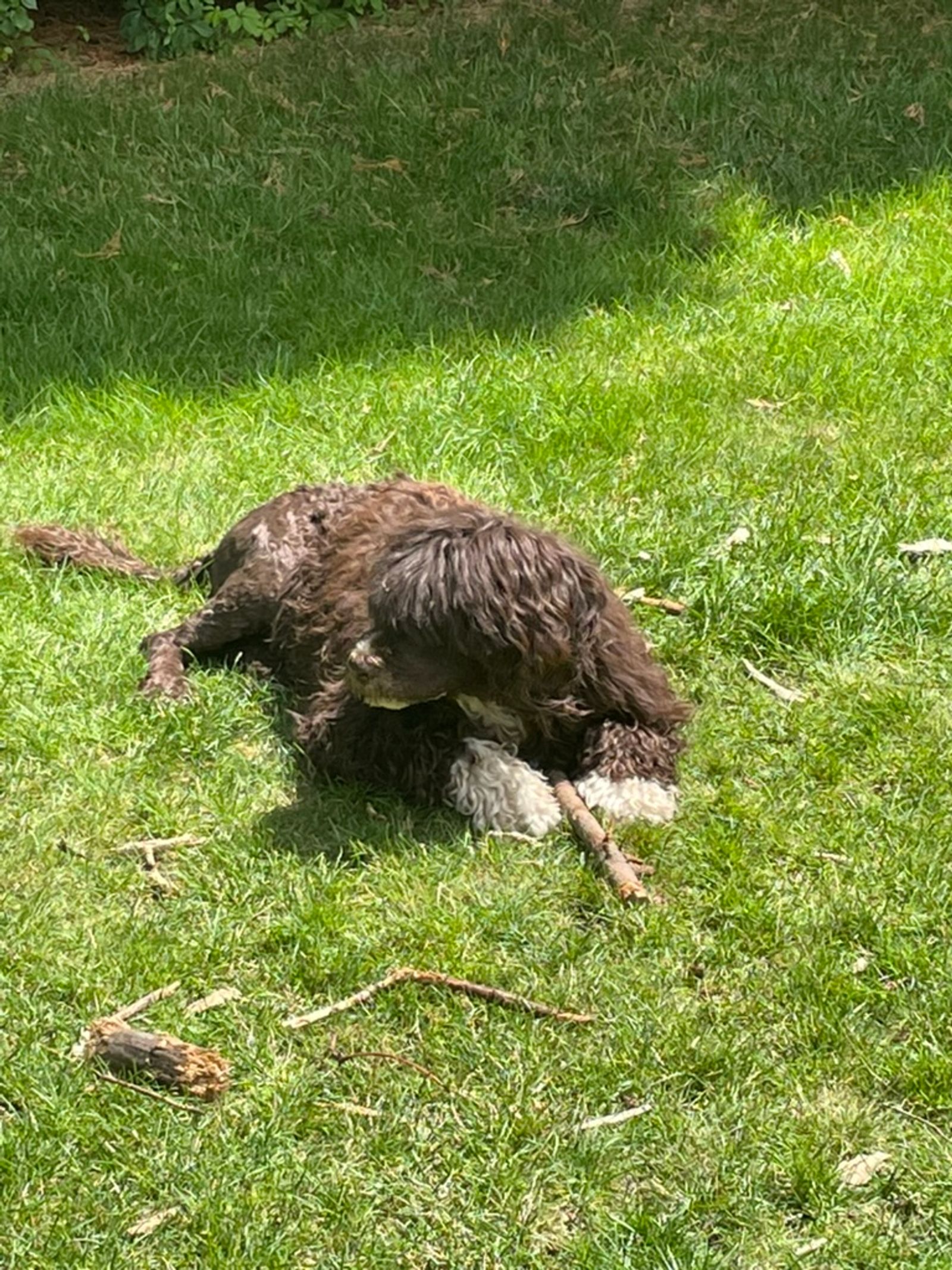 Fotografie Sára - obrázek 14