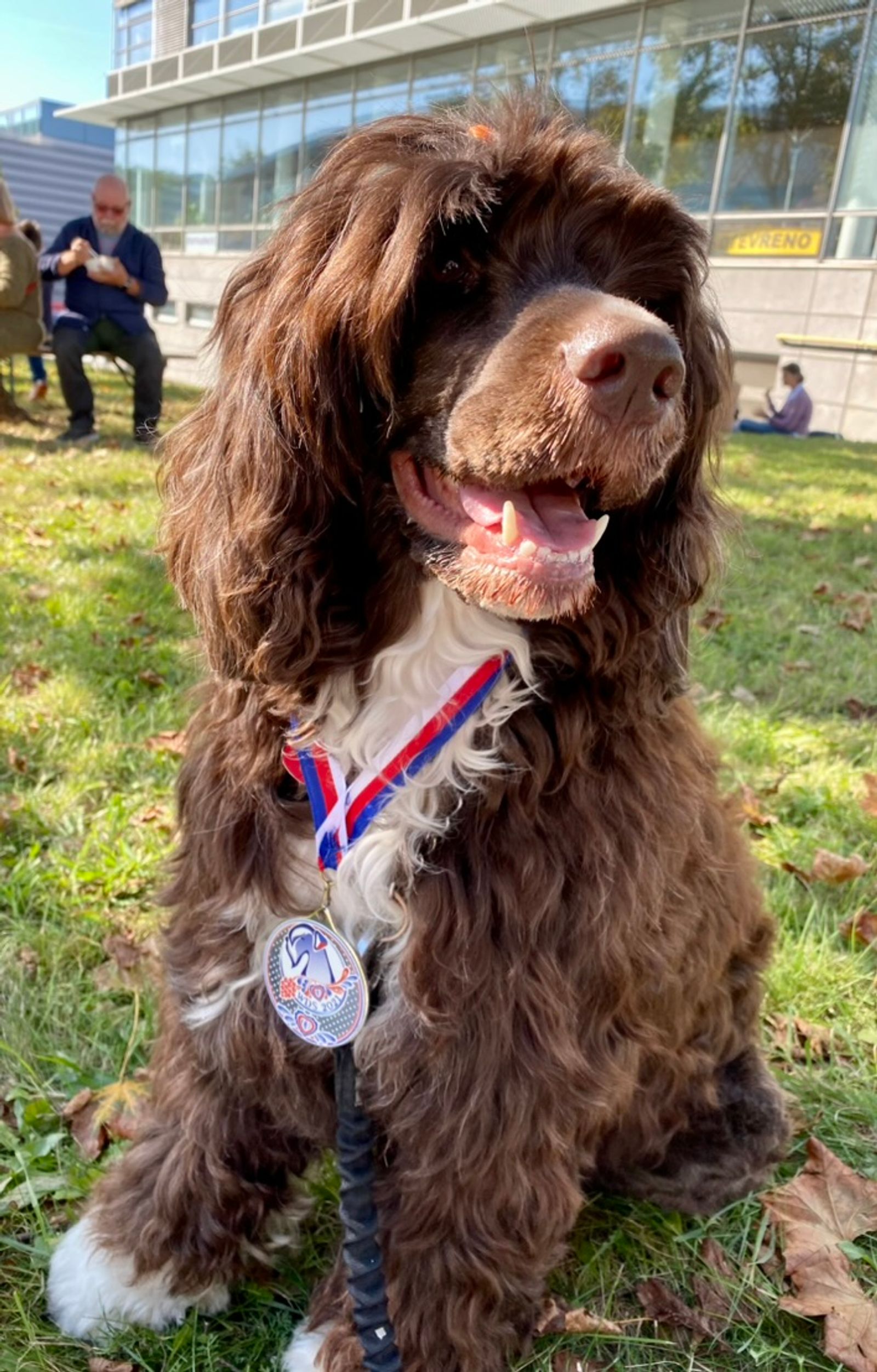 Fotografie Sára - obrázek 1
