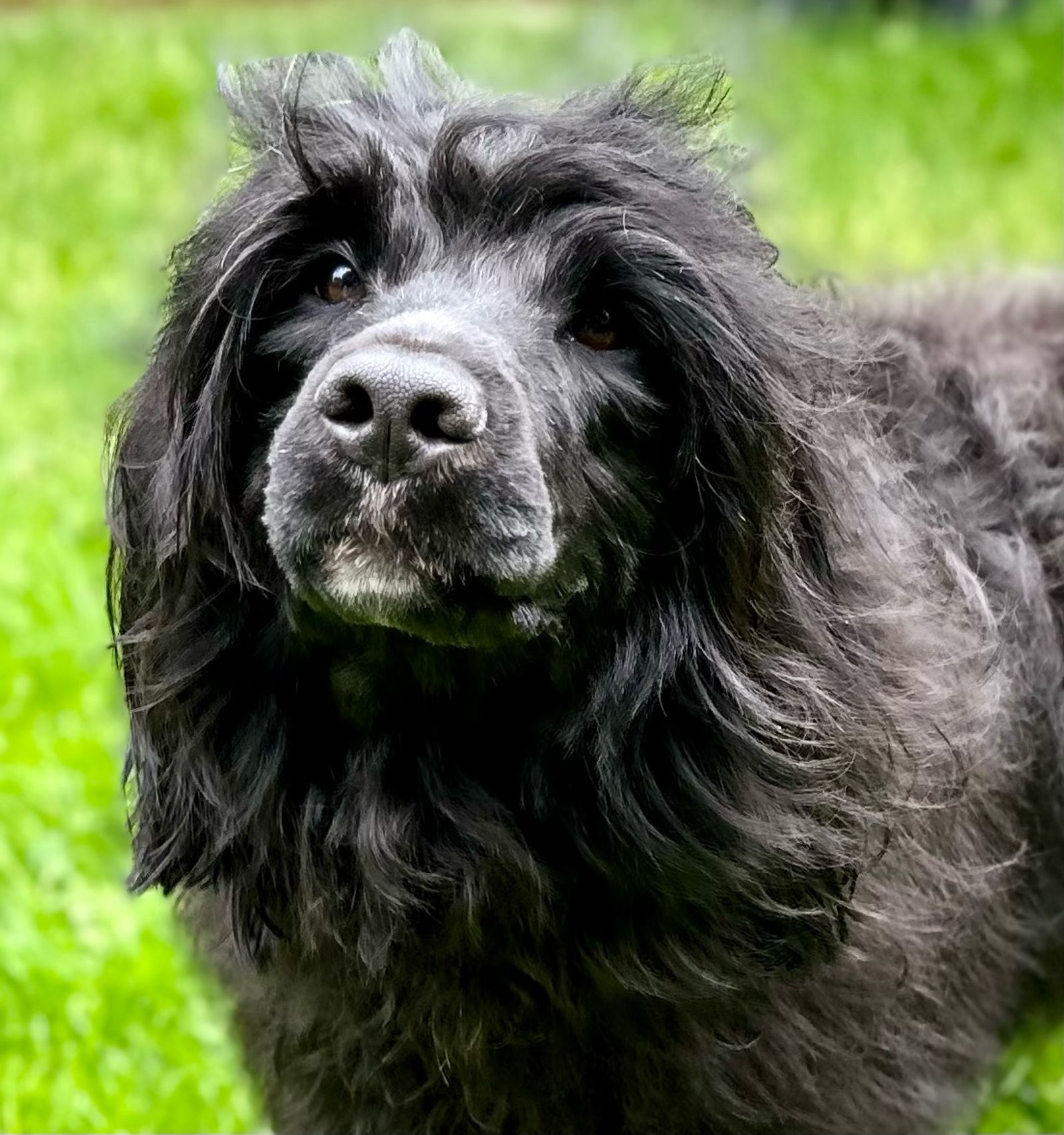 Fotografie Izi - obrázek 14