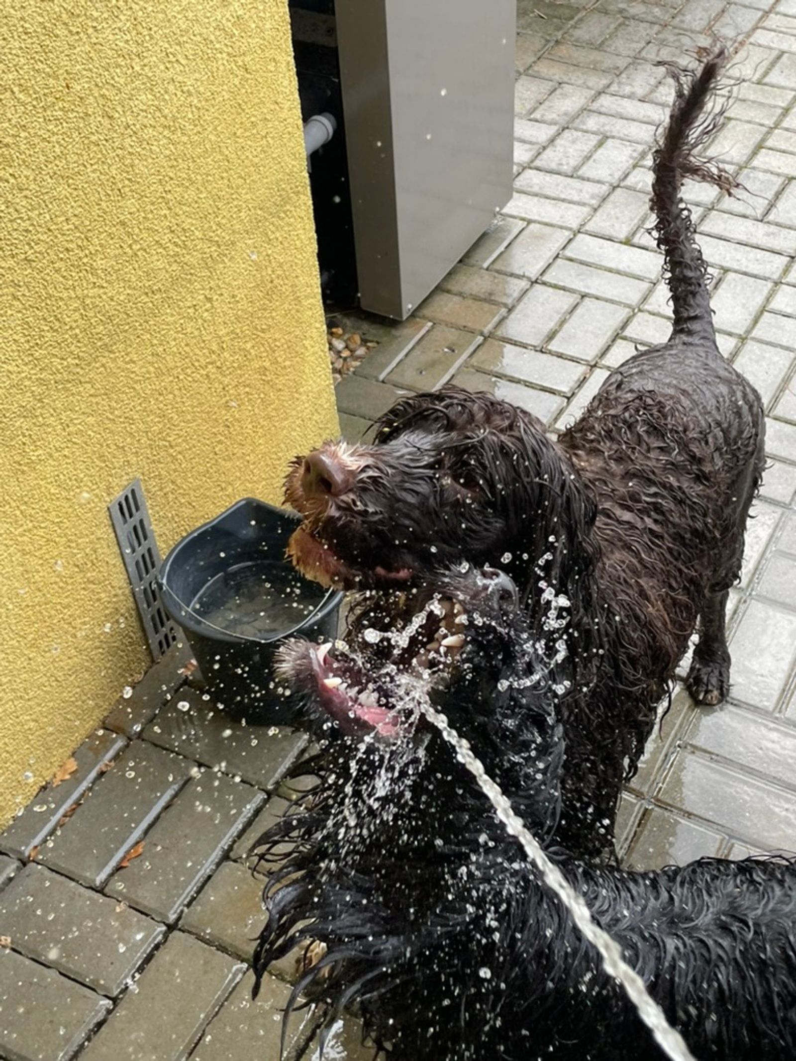 Fotografie Sára - obrázek 18