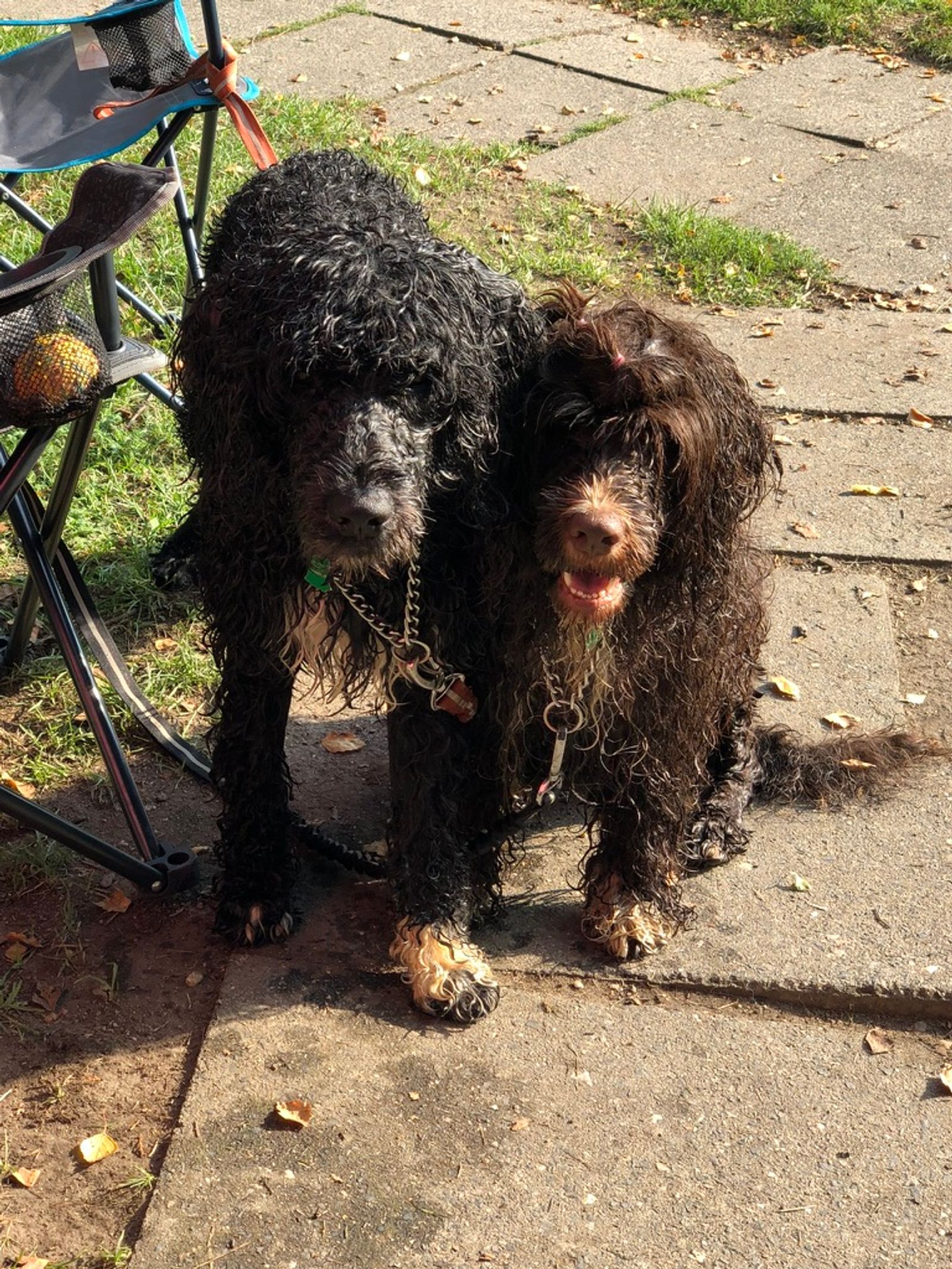 Fotografie Sára - obrázek 12