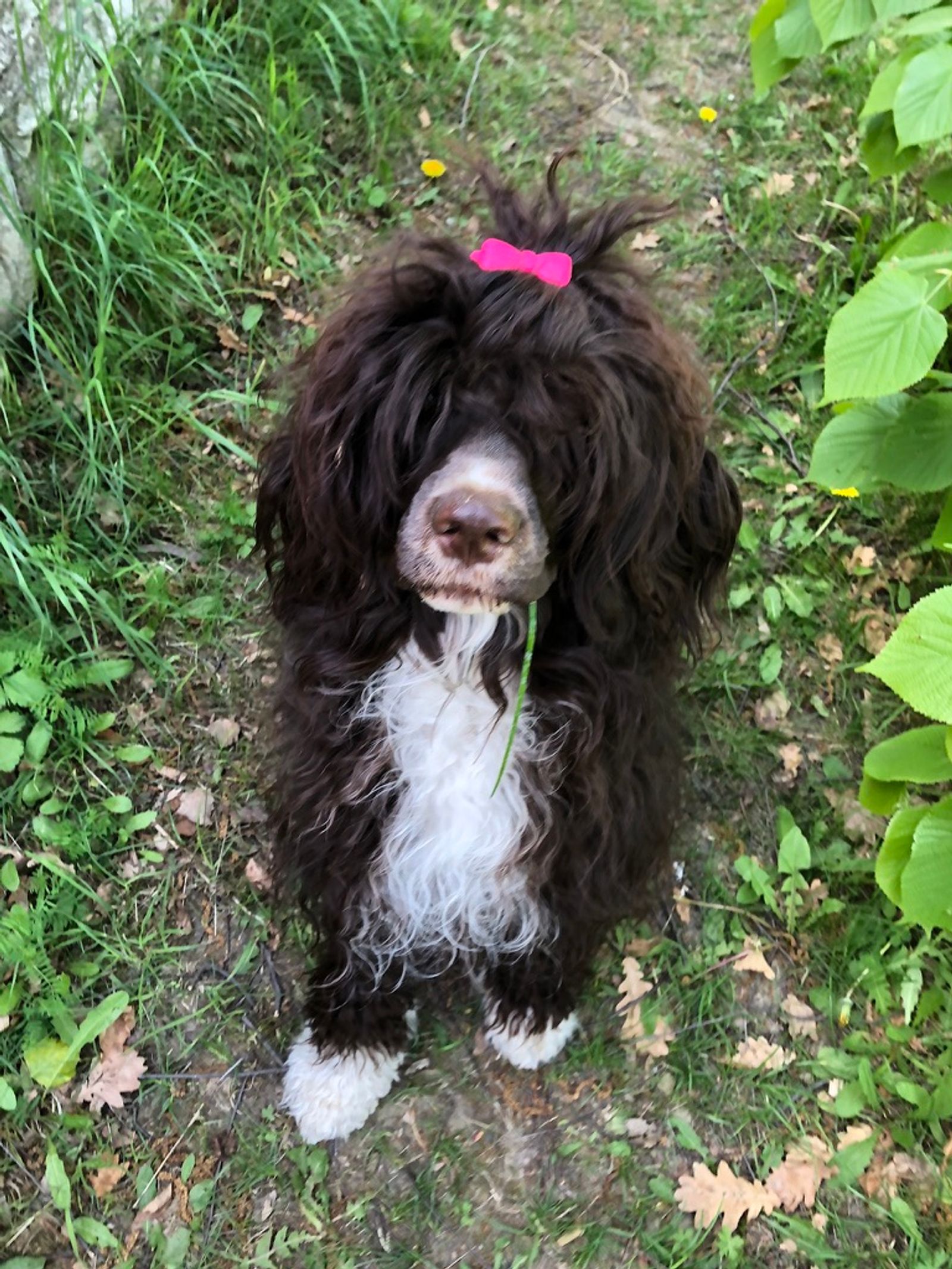 Fotografie Sára - obrázek 4