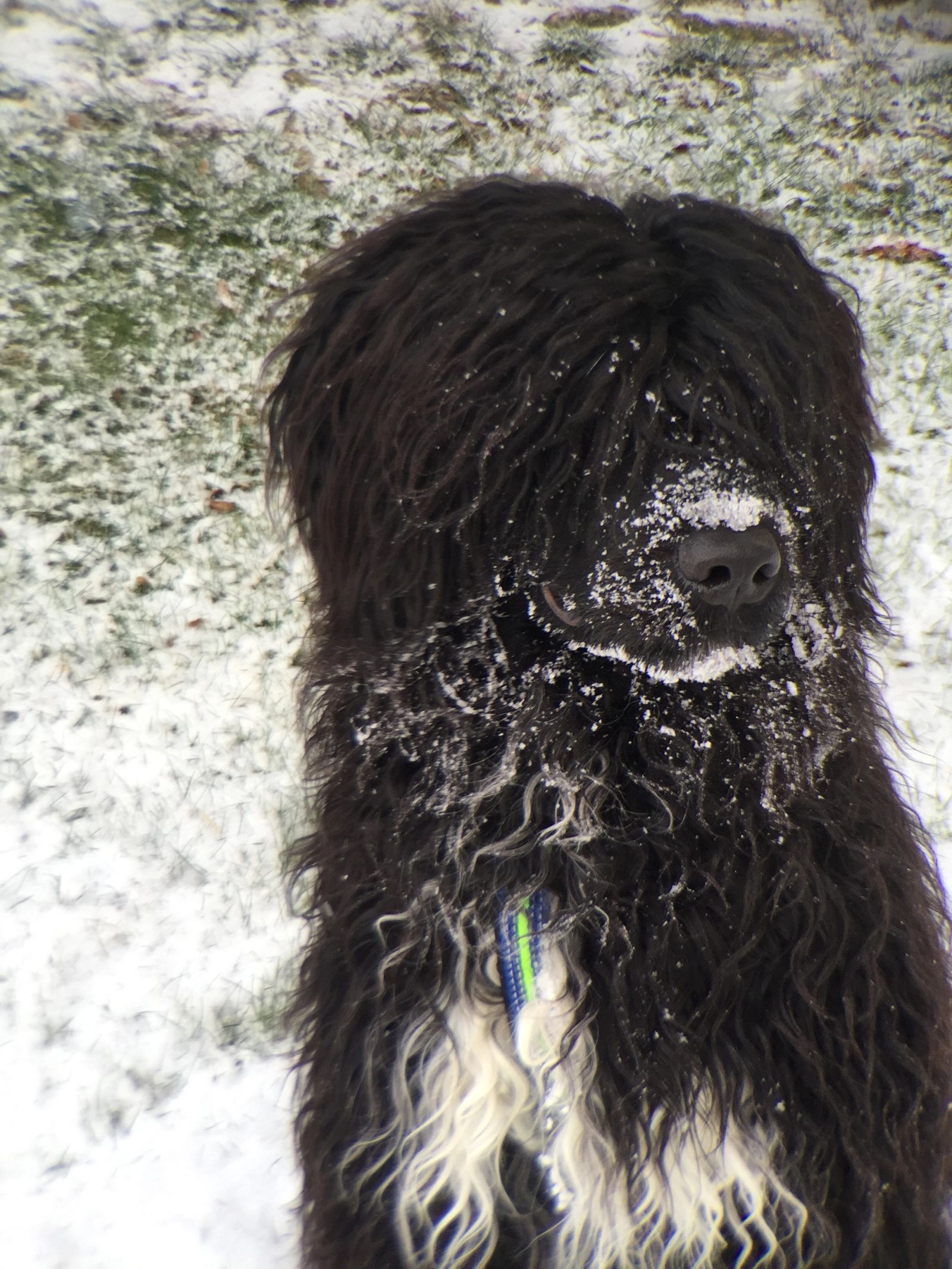 Fotografie Blondi - obrázek 12
